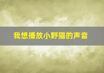 我想播放小野猫的声音