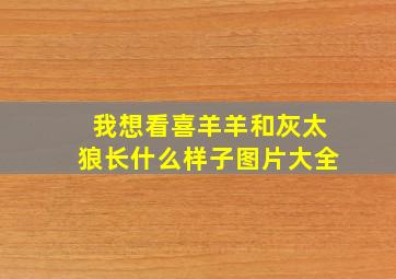 我想看喜羊羊和灰太狼长什么样子图片大全