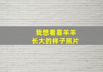 我想看喜羊羊长大的样子照片