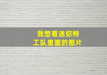 我想看迷你特工队里面的图片