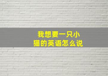 我想要一只小猫的英语怎么说