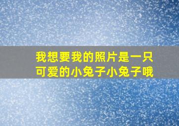 我想要我的照片是一只可爱的小兔子小兔子哦