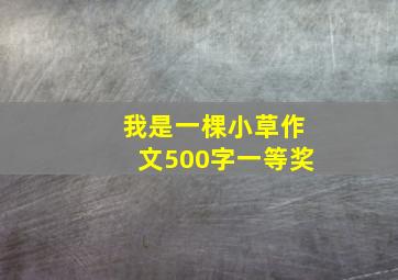 我是一棵小草作文500字一等奖