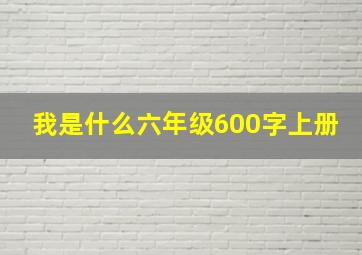 我是什么六年级600字上册