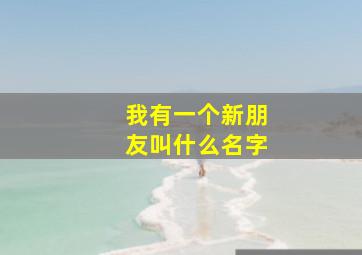 我有一个新朋友叫什么名字