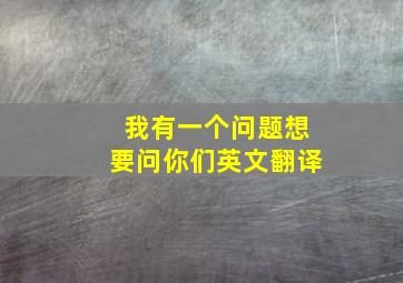 我有一个问题想要问你们英文翻译