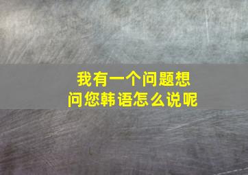 我有一个问题想问您韩语怎么说呢