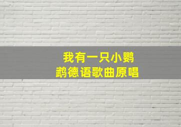 我有一只小鹦鹉德语歌曲原唱