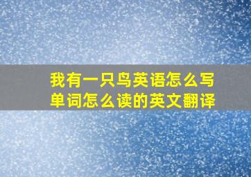 我有一只鸟英语怎么写单词怎么读的英文翻译