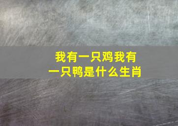 我有一只鸡我有一只鸭是什么生肖