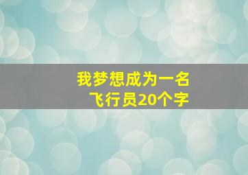 我梦想成为一名飞行员20个字