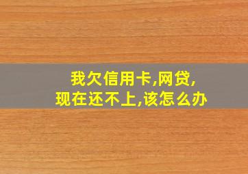 我欠信用卡,网贷,现在还不上,该怎么办