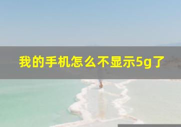 我的手机怎么不显示5g了