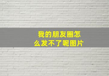 我的朋友圈怎么发不了呢图片