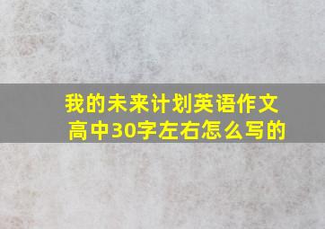 我的未来计划英语作文高中30字左右怎么写的