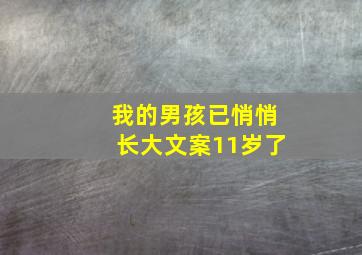 我的男孩已悄悄长大文案11岁了