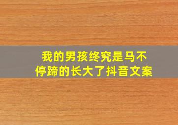 我的男孩终究是马不停蹄的长大了抖音文案