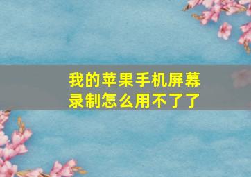 我的苹果手机屏幕录制怎么用不了了