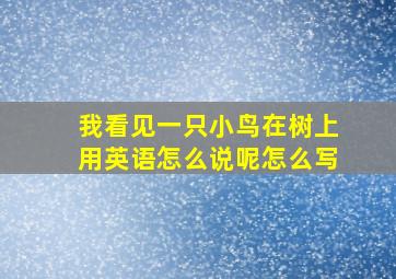 我看见一只小鸟在树上用英语怎么说呢怎么写