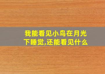 我能看见小鸟在月光下睡觉,还能看见什么