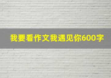 我要看作文我遇见你600字