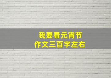 我要看元宵节作文三百字左右