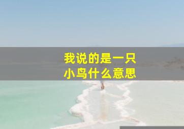 我说的是一只小鸟什么意思