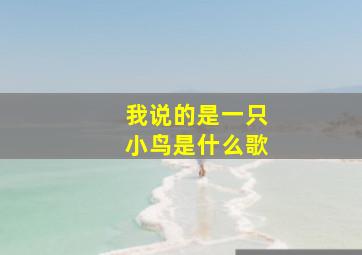 我说的是一只小鸟是什么歌