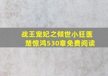 战王宠妃之倾世小狂医楚惊鸿530章免费阅读