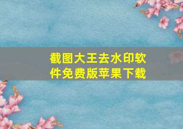 截图大王去水印软件免费版苹果下载