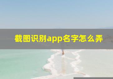 截图识别app名字怎么弄