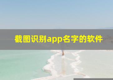 截图识别app名字的软件