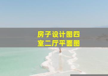 房子设计图四室二厅平面图