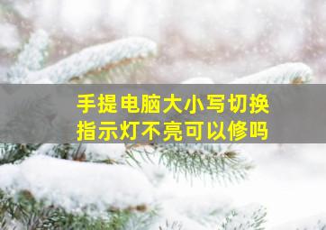 手提电脑大小写切换指示灯不亮可以修吗