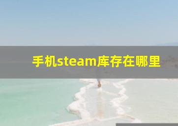 手机steam库存在哪里