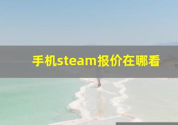 手机steam报价在哪看