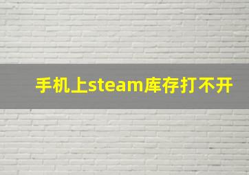 手机上steam库存打不开