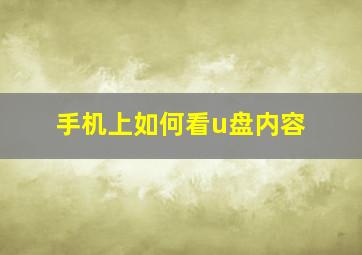 手机上如何看u盘内容