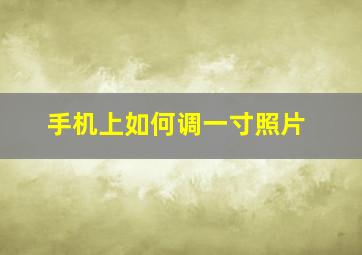 手机上如何调一寸照片