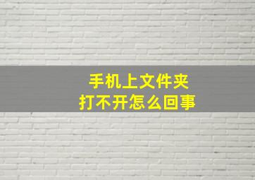 手机上文件夹打不开怎么回事