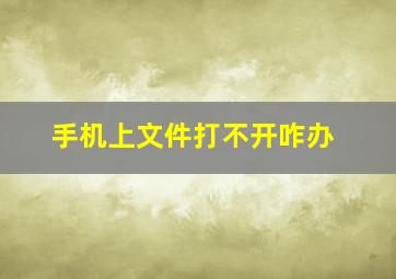 手机上文件打不开咋办