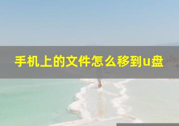 手机上的文件怎么移到u盘