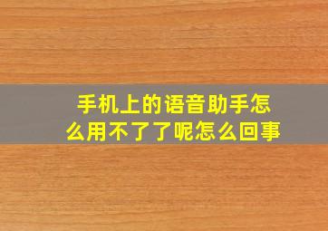 手机上的语音助手怎么用不了了呢怎么回事