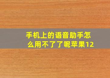 手机上的语音助手怎么用不了了呢苹果12