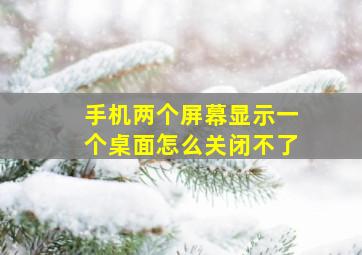 手机两个屏幕显示一个桌面怎么关闭不了