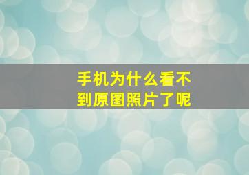 手机为什么看不到原图照片了呢