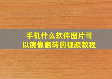 手机什么软件图片可以镜像翻转的视频教程