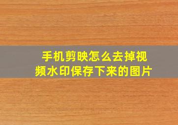 手机剪映怎么去掉视频水印保存下来的图片