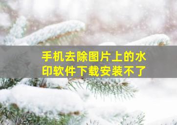 手机去除图片上的水印软件下载安装不了