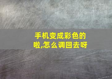 手机变成彩色的啦,怎么调回去呀